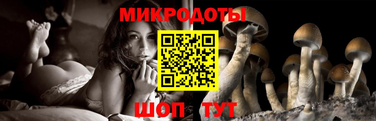 Псилоцибиновые грибы мухоморы  Вход с VPN  дарнет шоп  Воткинск  Псилоцибиновые грибы GOLDEN TEACHER 